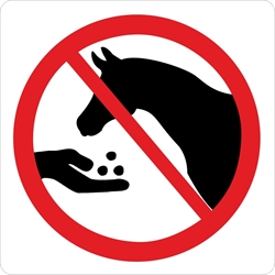 Fodring af heste forbudt